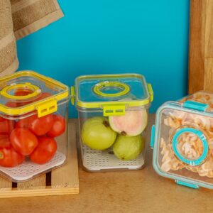 Large Size Airtight Food Storage Container with Locking Lid