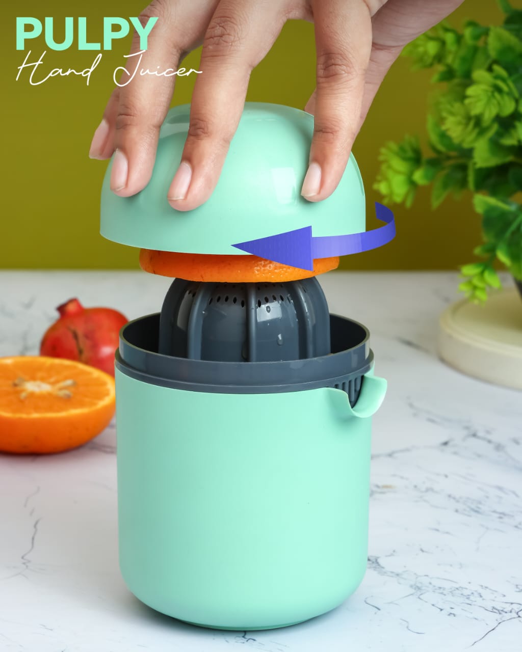 WhatsApp Image 2026-03-22 at 2.05.28 PM