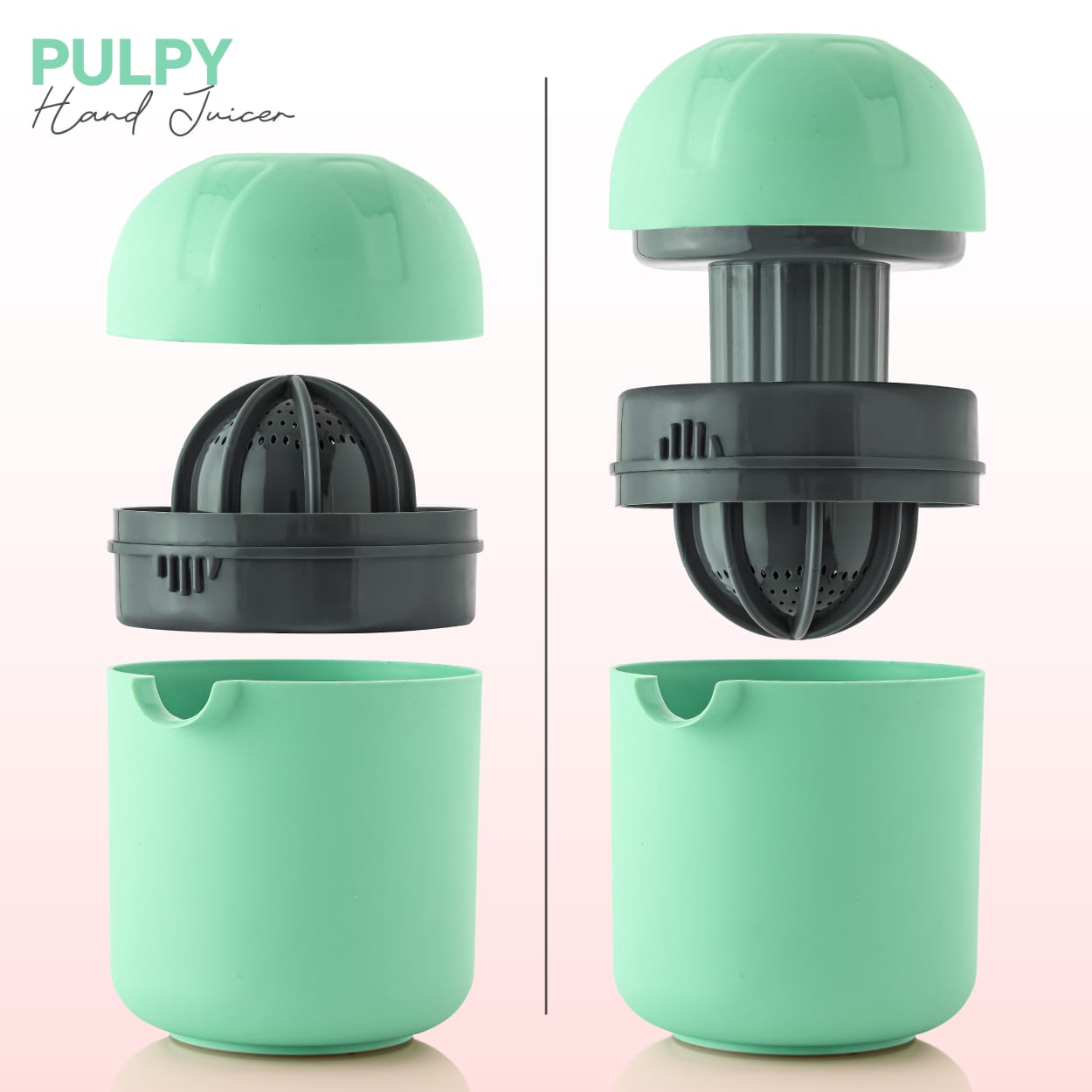 WhatsApp Image 2026-03-22 at 2.05.29 PM