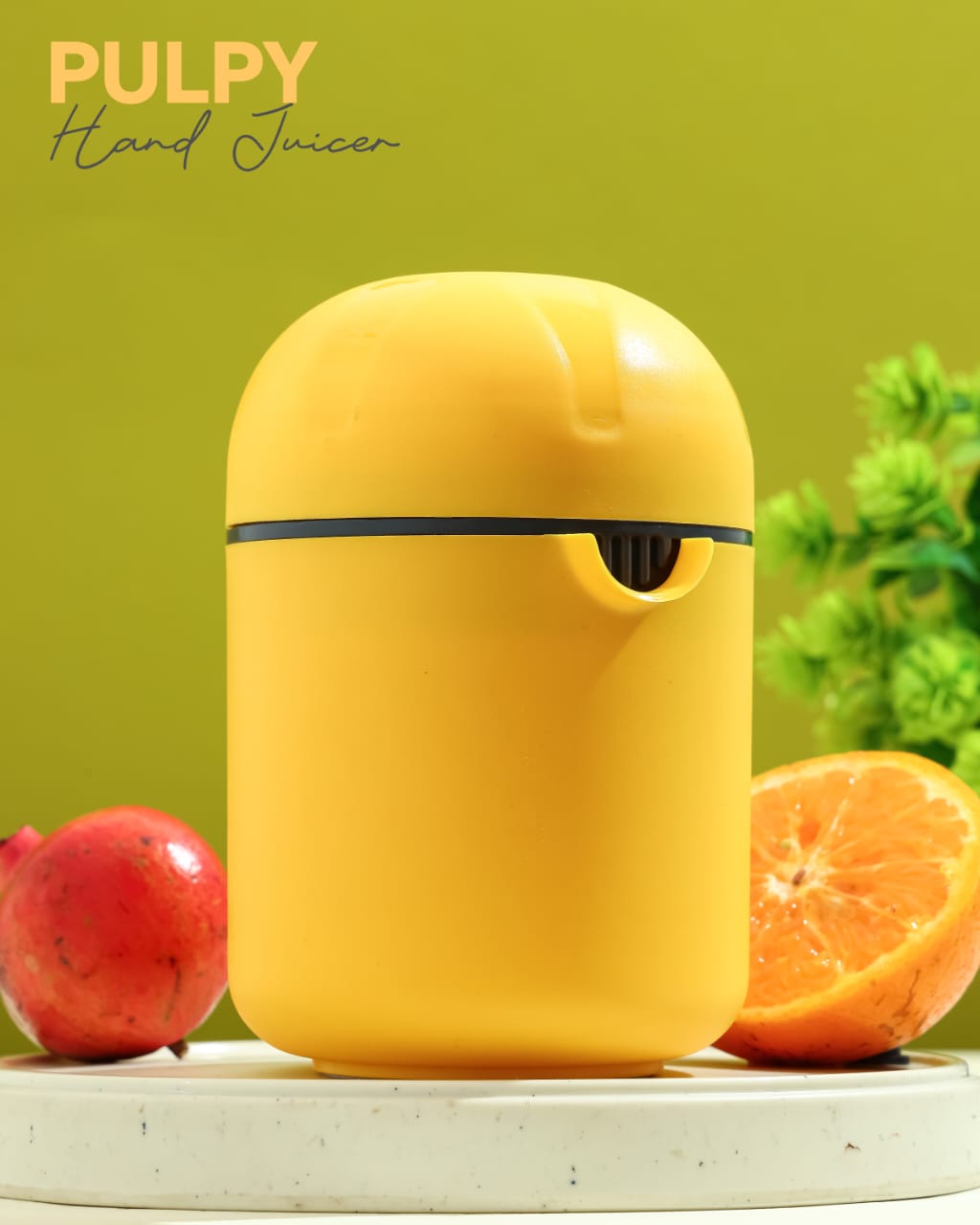 WhatsApp Image 2026-03-22 at 2.05.33 PM (3)