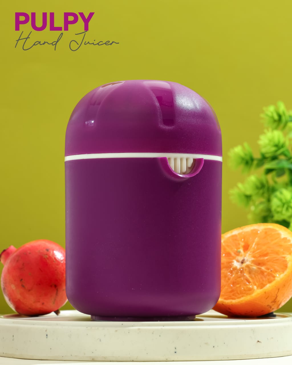 WhatsApp Image 2026-03-22 at 2.05.33 PM